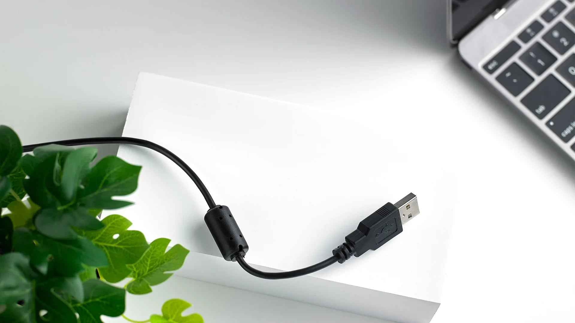 RAPOO C260 1080P Webcam