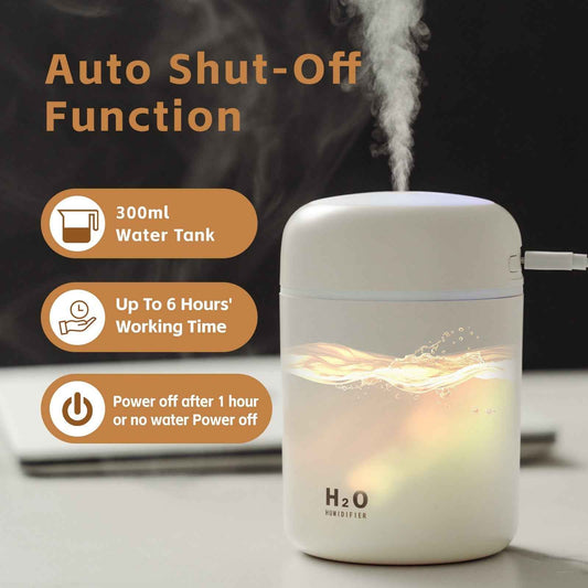 Living Today Quiet Mini Humidifier