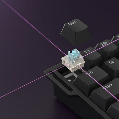 Switch close-up